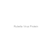 Rubella Virus Protein